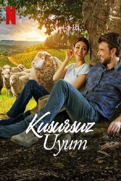 Kusursuz Uyum